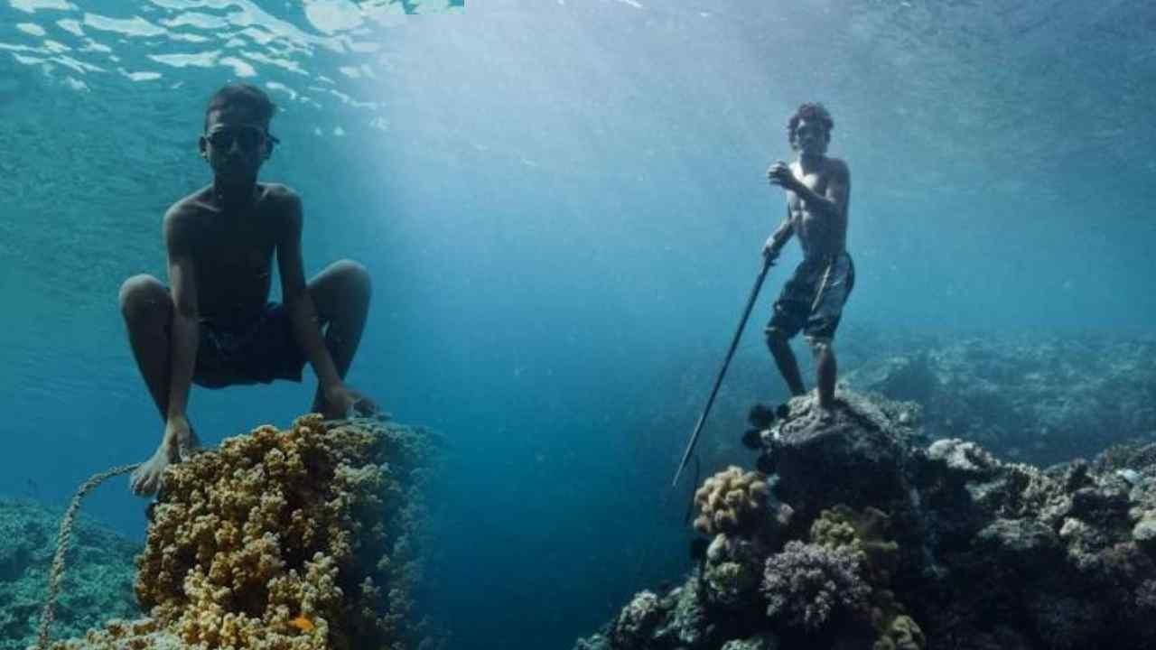 Bilimin Sınırında: Suya Adanmış Mutasyonlar ve Sporun Gelecekteki Anatomisi