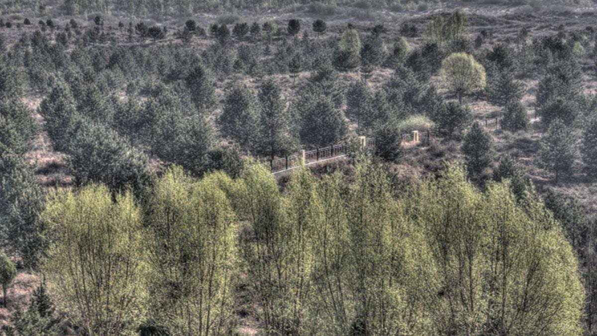 Futbolun Kayıp Efsanesi: Bir Vefa ve Sadakat Hikayesi