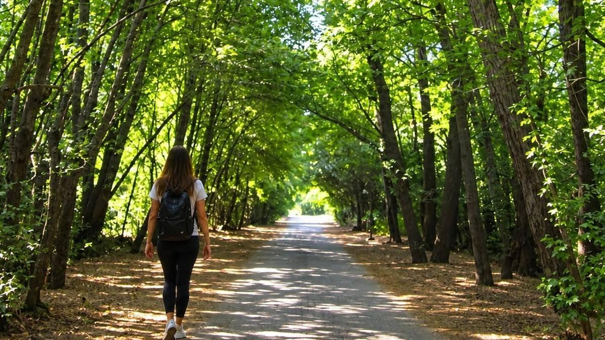 Parkta Yürüyüş Yaparken Parıltıyı Fark Etti: Servet Değerinde Buluntu